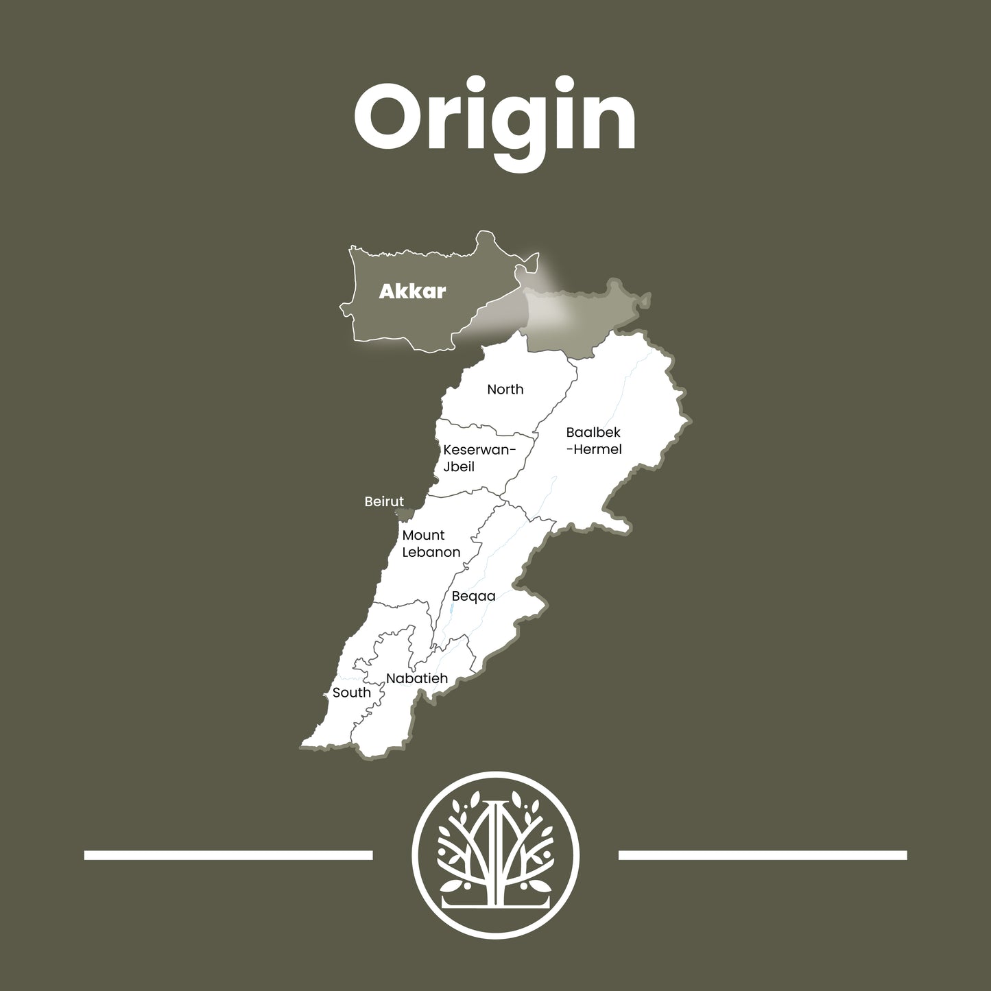 Levantine Premium Extra Virgin Olive Oil