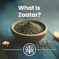 Handpicked Zaatar
